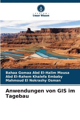 bokomslag Anwendungen von GIS im Tagebau