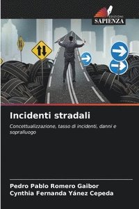 bokomslag Incidenti stradali