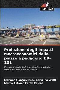 bokomslag Proiezione degli impatti macroeconomici delle piazze a pedaggio: Br-101