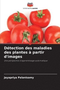 bokomslag Détection des maladies des plantes à partir d'images