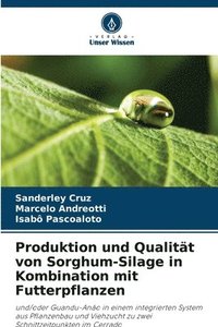 bokomslag Produktion und Qualität von Sorghum-Silage in Kombination mit Futterpflanzen