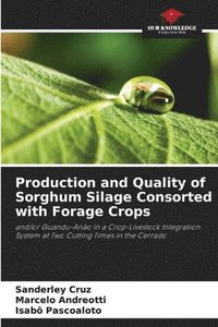 bokomslag Production and Quality of Sorghum Silage Consorted with Forage Crops