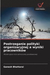 bokomslag Postrzeganie polityki organizacyjnej a wyniki pracowników