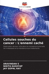 bokomslag Cellules souches du cancer: L'ennemi caché
