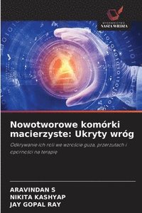 bokomslag Nowotworowe komórki macierzyste: Ukryty wróg