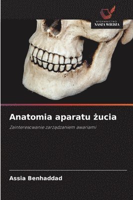 Anatomia aparatu żucia