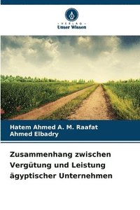 bokomslag Zusammenhang zwischen Vergütung und Leistung ägyptischer Unternehmen