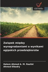 bokomslag Zwi?zek mi?dzy wynagrodzeniami a wynikami egipskich przedsi?biorstw