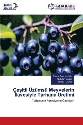 bokomslag e&#351;itli zms Meyvelerin &#304;lavesiyle Tarhana retimi