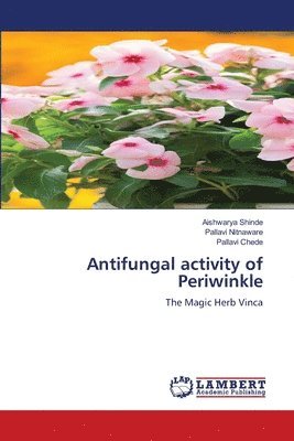 Antifungal activity of Periwinkle 1