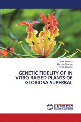 bokomslag Genetic Fidelity of in Vitro Raised Plants of Gloriosa Superbal