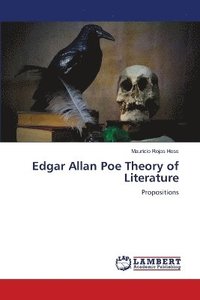 bokomslag Edgar Allan Poe Theory of Literature