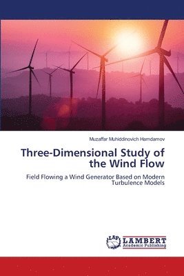 bokomslag Three-Dimensional Study of the Wind Flow