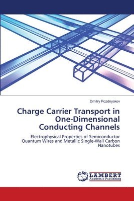 Dmitry Pozdnyakov - Charge Carrier Transport in One-Dimensional Conducting Channels, Häftad