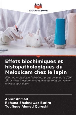 Abrar Ahmad, Rehana Shahnawaz Buriro, Toufique Ahmed Qureshi - Effets biochimiques et histopathologiques du Meloxicam chez le lapin, Häftad