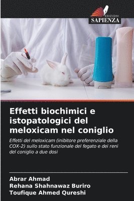 Effetti biochimici e istopatologici del meloxicam nel coniglio 1