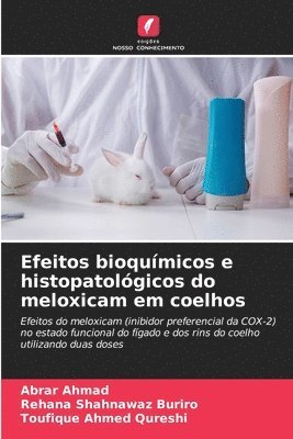 Efeitos bioqumicos e histopatolgicos do meloxicam em coelhos 1