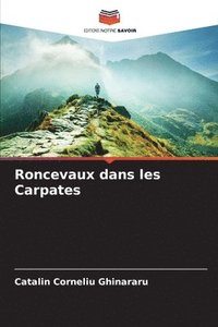 bokomslag Roncevaux dans les Carpates