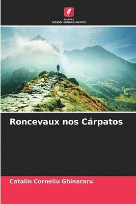 Roncevaux nos Crpatos 1