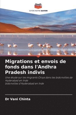 bokomslag Migrations et envois de fonds dans l'Andhra Pradesh indivis