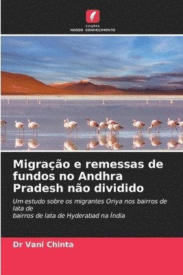 bokomslag Migração e remessas de fundos no Andhra Pradesh não dividido