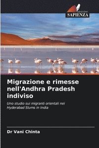 bokomslag Migrazione e rimesse nell'Andhra Pradesh indiviso