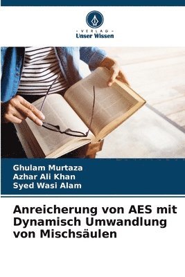 Ghulam Murtaza, Azhar Ali Khan, Syed Wasi Alam - Anreicherung von AES mit Dynamisch Umwandlung von Mischsäulen, Häftad