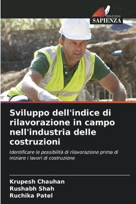 bokomslag Sviluppo dell'indice di rilavorazione in campo nell'industria delle costruzioni