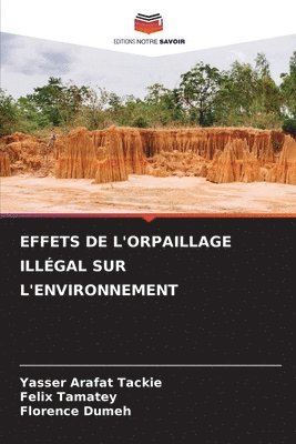 bokomslag Effets de l'Orpaillage Illgal Sur l'Environnement