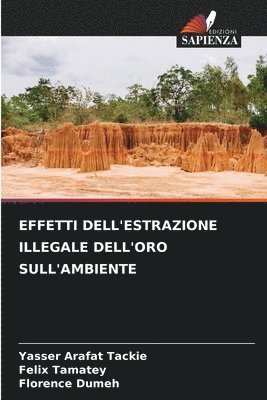 bokomslag Effetti Dell'estrazione Illegale Dell'oro Sull'ambiente