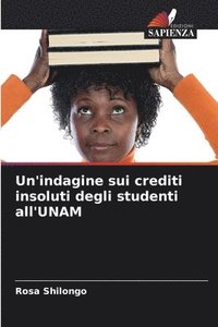 bokomslag Un'indagine sui crediti insoluti degli studenti all'UNAM