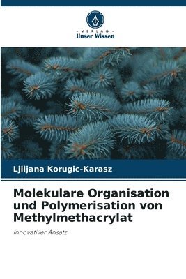 bokomslag Molekulare Organisation und Polymerisation von Methylmethacrylat