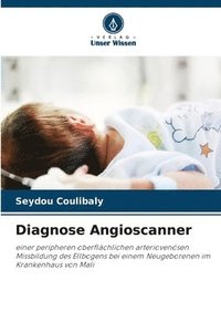 bokomslag Diagnose Angioscanner