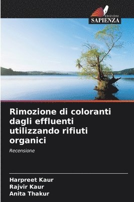 bokomslag Rimozione di coloranti dagli effluenti utilizzando rifiuti organici