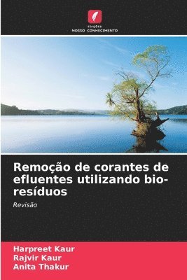 bokomslag Remoo de corantes de efluentes utilizando bio-resduos