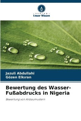 bokomslag Bewertung des Wasser-Fußabdrucks in Nigeria