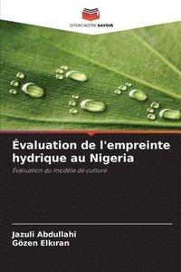 bokomslag valuation de l'empreinte hydrique au Nigeria