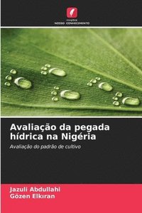 bokomslag Avaliação da pegada hídrica na Nigéria