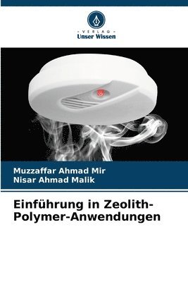 bokomslag Einfhrung in Zeolith-Polymer-Anwendungen