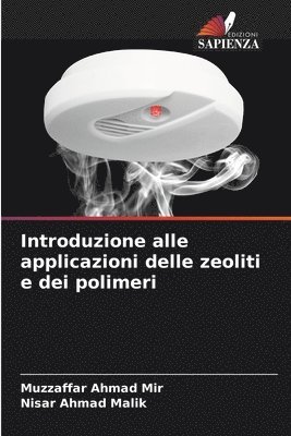 Introduzione alle applicazioni delle zeoliti e dei polimeri 1