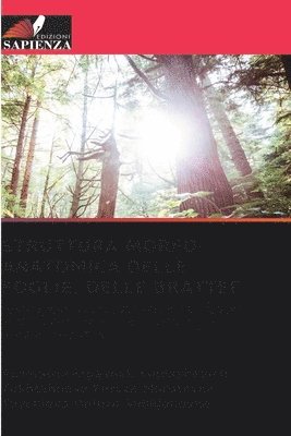 Struttura Morfo-Anatomica Delle Foglie, Delle Brattee