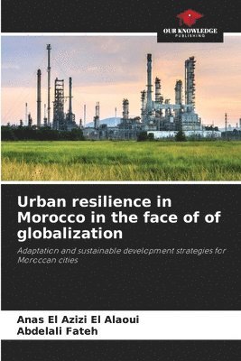 bokomslag Urban resilience in Morocco in the face of of globalization