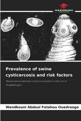 bokomslag Prevalence of swine cysticercosis and risk factors