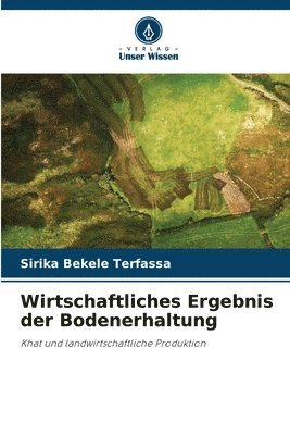 bokomslag Wirtschaftliches Ergebnis der Bodenerhaltung