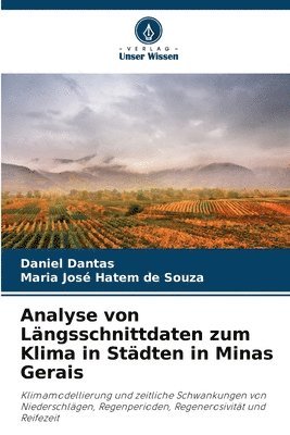 bokomslag Analyse von Lngsschnittdaten zum Klima in Stdten in Minas Gerais