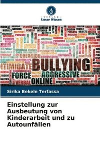 bokomslag Einstellung zur Ausbeutung von Kinderarbeit und zu Autounfllen