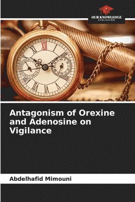 bokomslag Antagonism of Orexine and Adenosine on Vigilance