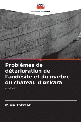bokomslag Problèmes de détérioration de l'andésite et du marbre du château d'Ankara