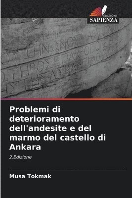 Musa Tokmak - Problemi di deterioramento dell'andesite e del marmo del castello di Ankara, Häftad