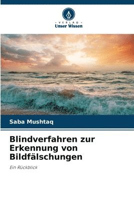 bokomslag Blindverfahren zur Erkennung von Bildflschungen